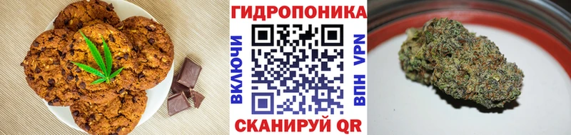 Купить закладки  Дмитров  Canna-Cookies марихуана 