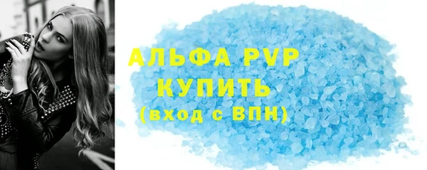 твердый Инта