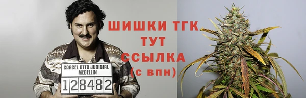 твердый Инта