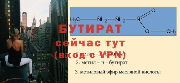 твердый Инта