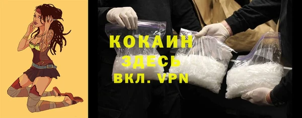 твердый Инта