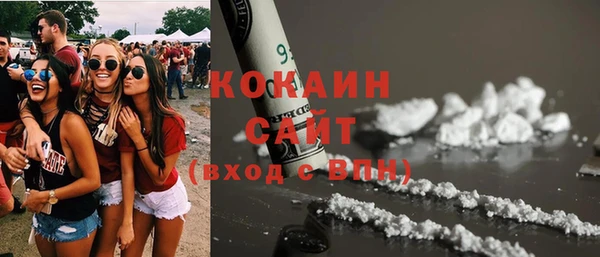твердый Инта