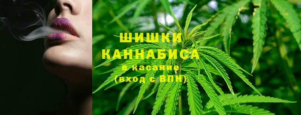 твердый Инта