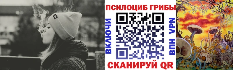 Купить где Дмитров Псилоцибиновые грибы мухоморы