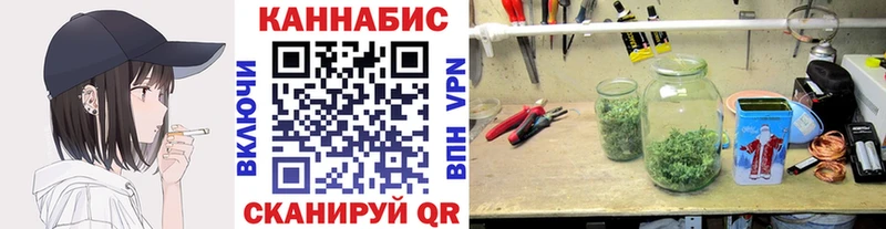 Бошки марихуана план Купить закладки Дмитров